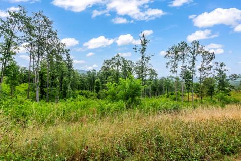 Lot 207 Oak Park Drive Talking Rock GA 30175