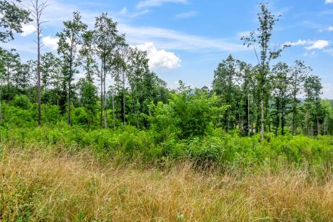 Lot 207 Oak Park Drive Talking Rock GA 30175