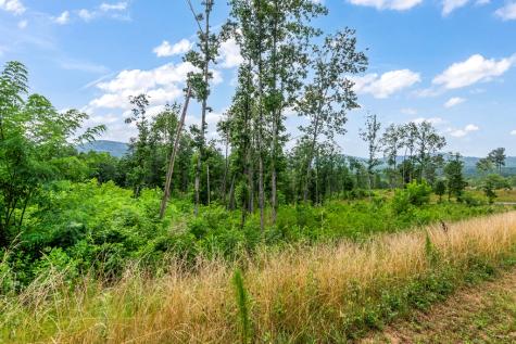 Lot 207 Oak Park Drive Talking Rock GA 30175