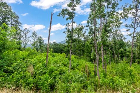 Lot 207 Oak Park Drive Talking Rock GA 30175