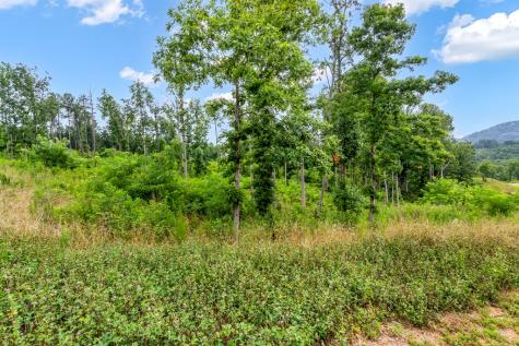 Lot 207 Oak Park Drive Talking Rock GA 30175