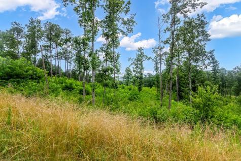 Lot 207 Oak Park Drive Talking Rock GA 30175