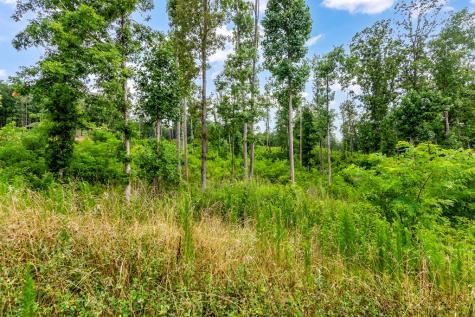 Lot 207 Oak Park Drive Talking Rock GA 30175