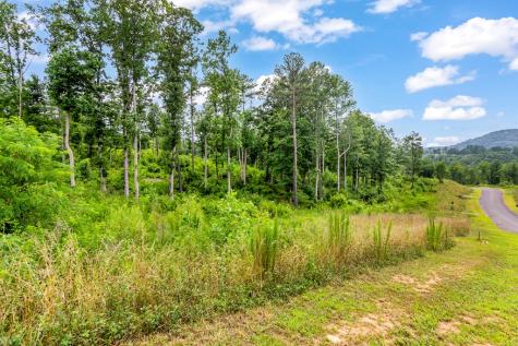 Lot 207 Oak Park Drive Talking Rock GA 30175