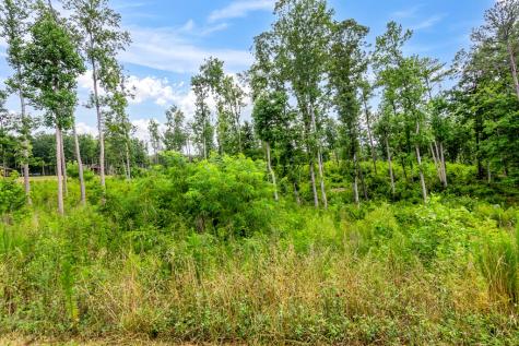 Lot 207 Oak Park Drive Talking Rock GA 30175