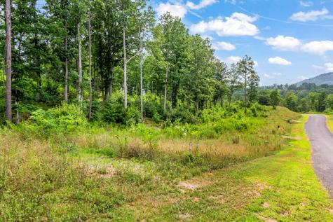 Lot 207 Oak Park Drive Talking Rock GA 30175