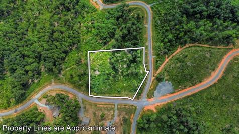 Lot 207 Oak Park Drive Talking Rock GA 30175