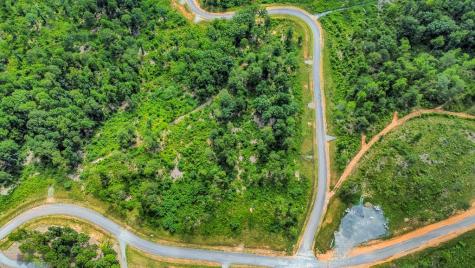 Lot 207 Oak Park Drive Talking Rock GA 30175