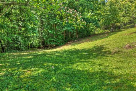 26.29 Ac Bullen Gap Road Blue Ridge GA 30513