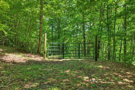 26.29 Ac Bullen Gap Road Blue Ridge GA 30513