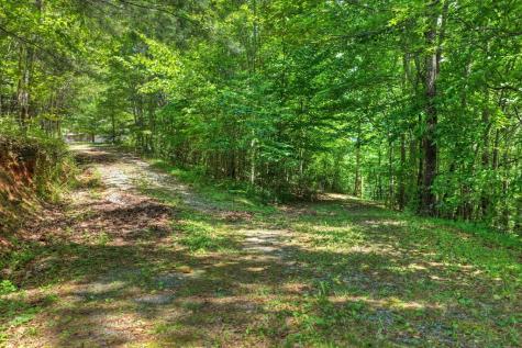 26.29 Ac Bullen Gap Road Blue Ridge GA 30513