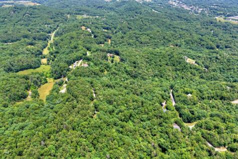 26.29 Ac Bullen Gap Road Blue Ridge GA 30513