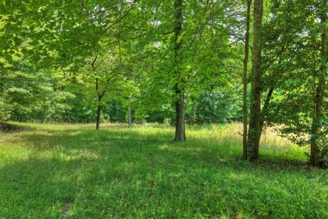 26.29 Ac Bullen Gap Road Blue Ridge GA 30513