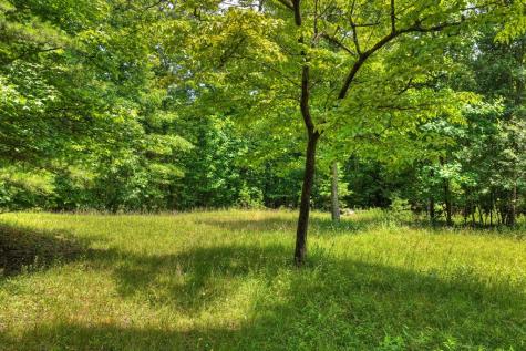 26.29 Ac Bullen Gap Road Blue Ridge GA 30513