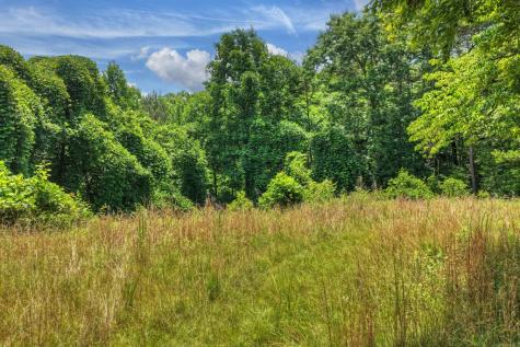 26.29 Ac Bullen Gap Road Blue Ridge GA 30513