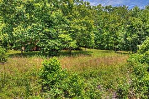26.29 Ac Bullen Gap Road Blue Ridge GA 30513