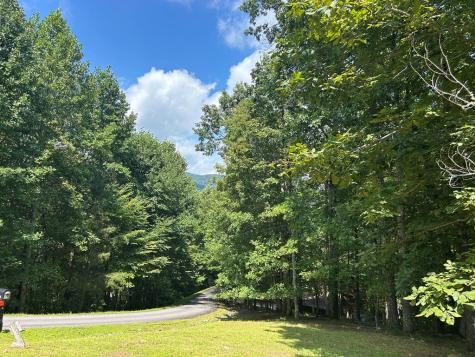 Lt 19 Bitter Creek Road Blairsville GA 30512