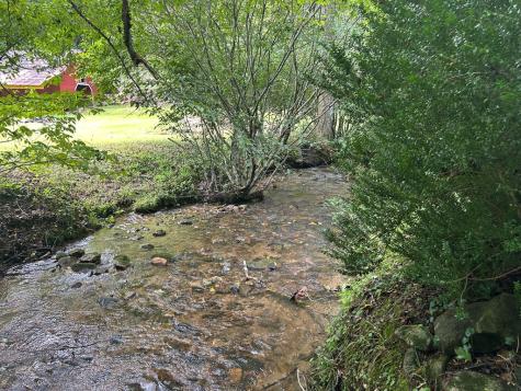 Lt 19 Bitter Creek Road Blairsville GA 30512