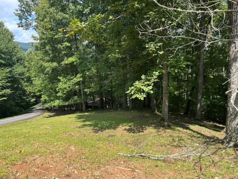 Lt 19 Bitter Creek Road Blairsville GA 30512