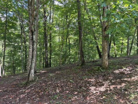 Lt 19 Bitter Creek Road Blairsville GA 30512