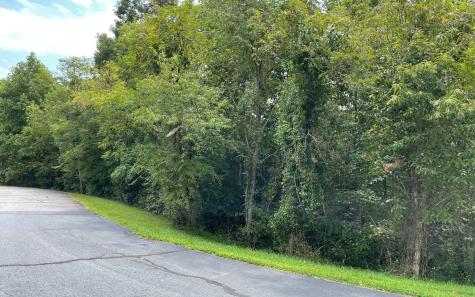 Lot 23 Dan Knob Hayesville NC 28904
