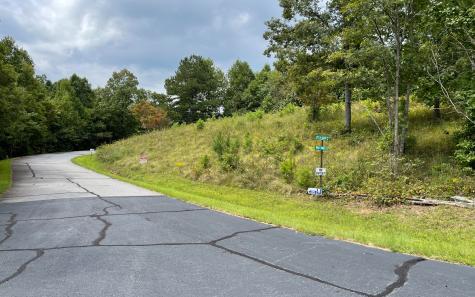 Lot 23 Dan Knob Hayesville NC 28904