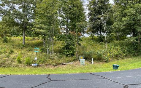 Lot 23 Dan Knob Hayesville NC 28904