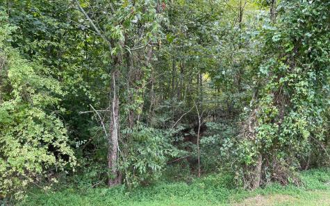 Lot 23 Dan Knob Hayesville NC 28904