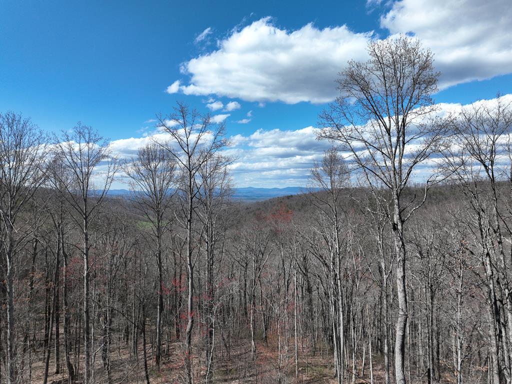 270R Stone Cliff Drive Ellijay GA 30536