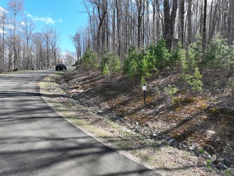 270R Stone Cliff Drive Ellijay GA 30536