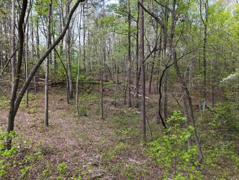 Lot 36r Hilton Drive Ellijay GA 30540