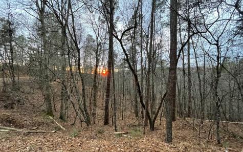 681,682 Julep Circle Ellijay GA 30540