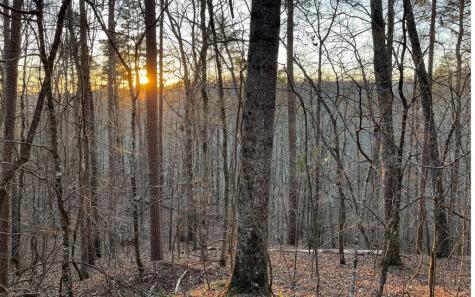 681,682 Julep Circle Ellijay GA 30540