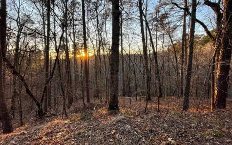 681,682 Julep Circle Ellijay GA 30540