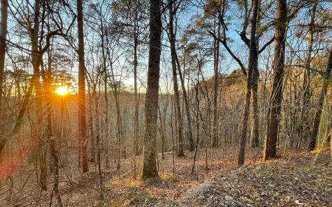 681,682 Julep Circle Ellijay GA 30540