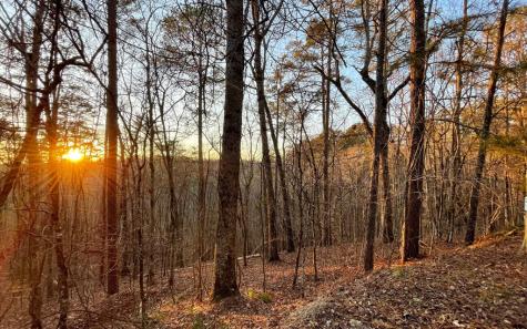 681,682 Julep Circle Ellijay GA 30540