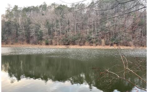 681,682 Julep Circle Ellijay GA 30540