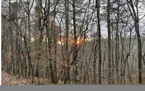 681,682 Julep Circle Ellijay GA 30540