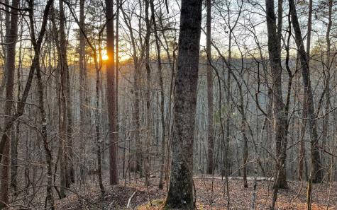 681,682 Julep Circle Ellijay GA 30540