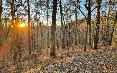 681,682 Julep Circle Ellijay GA 30540