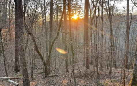 681,682 Julep Circle Ellijay GA 30540