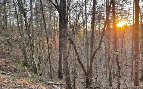 681,682 Julep Circle Ellijay GA 30540