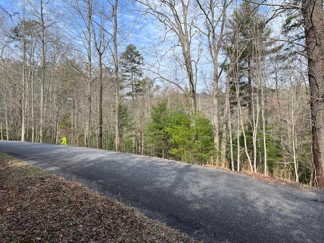 Lot 10 Lower Fox Trail Road Blairsville GA 30512