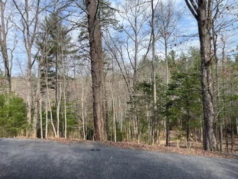 Lot 10 Lower Fox Trail Road Blairsville GA 30512