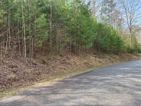 Lot 10 Lower Fox Trail Road Blairsville GA 30512