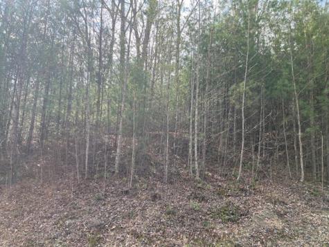 Lot 10 Lower Fox Trail Road Blairsville GA 30512