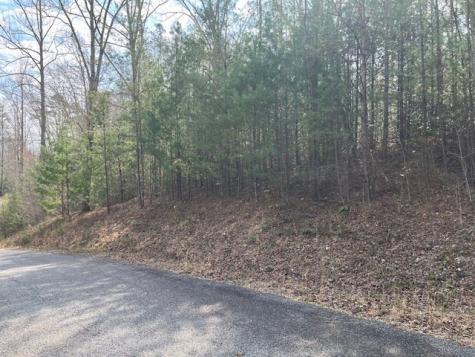 Lot 10 Lower Fox Trail Road Blairsville GA 30512