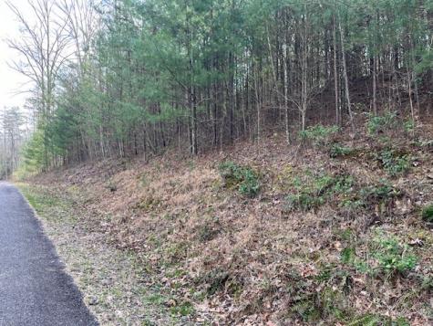 Lot 10 Lower Fox Trail Road Blairsville GA 30512