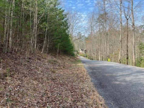Lot 10 Lower Fox Trail Road Blairsville GA 30512