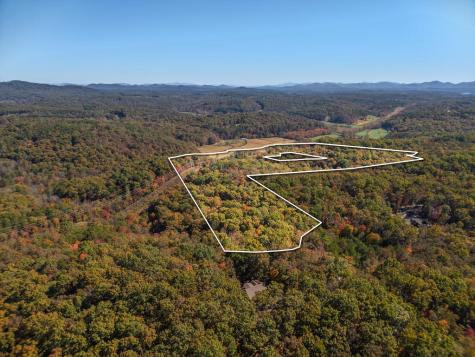 0 Robert Miller Lane Mineral Bluff GA 30559